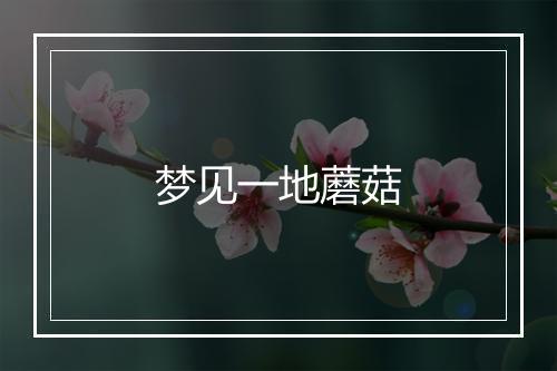 梦见一地蘑菇