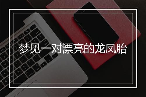 梦见一对漂亮的龙凤胎