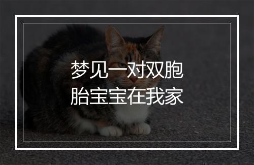 梦见一对双胞胎宝宝在我家