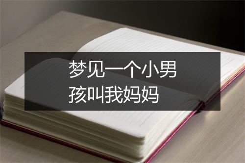 梦见一个小男孩叫我妈妈