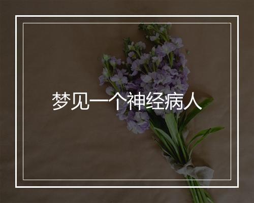 梦见一个神经病人