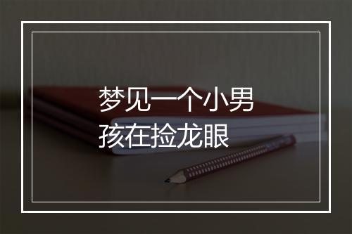 梦见一个小男孩在捡龙眼