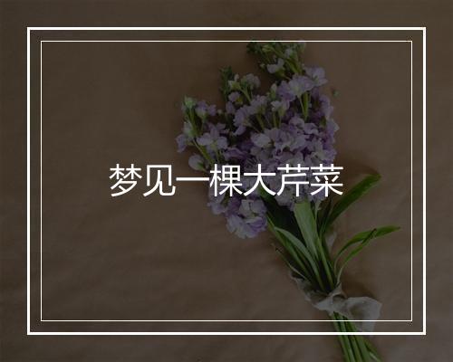 梦见一棵大芹菜