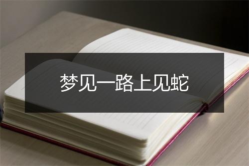 梦见一路上见蛇