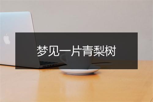 梦见一片青梨树