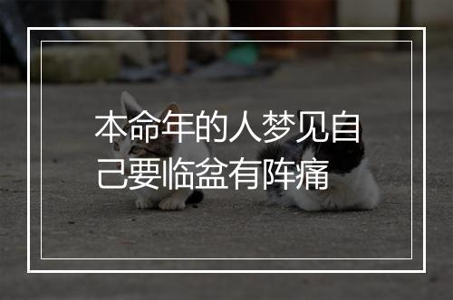 本命年的人梦见自己要临盆有阵痛