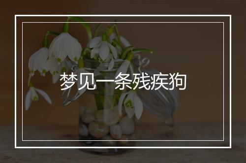 梦见一条残疾狗