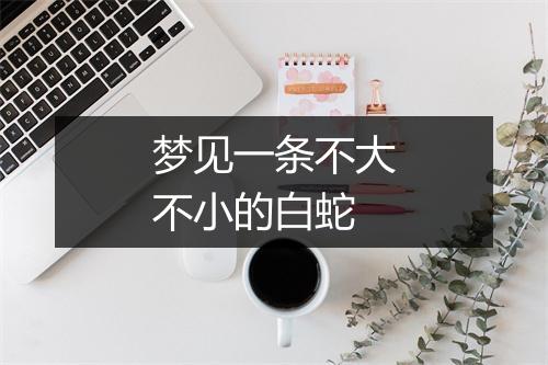 梦见一条不大不小的白蛇