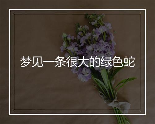 梦见一条很大的绿色蛇