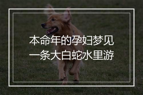 本命年的孕妇梦见一条大白蛇水里游