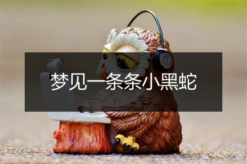 梦见一条条小黑蛇