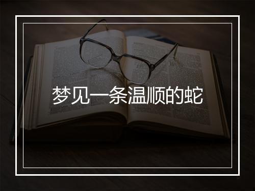 梦见一条温顺的蛇