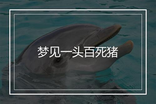 梦见一头百死猪