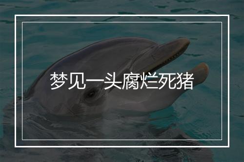 梦见一头腐烂死猪