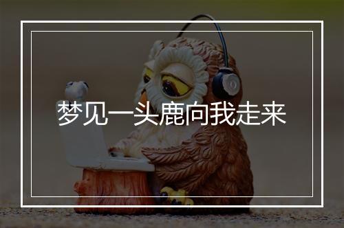 梦见一头鹿向我走来