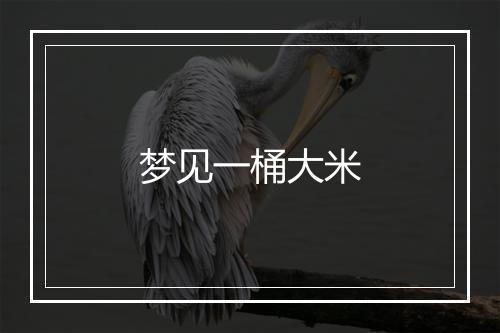 梦见一桶大米