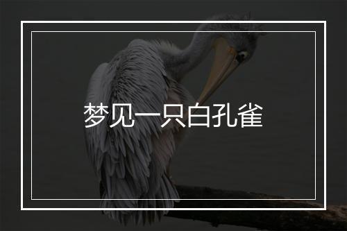 梦见一只白孔雀