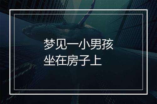 梦见一小男孩坐在房子上