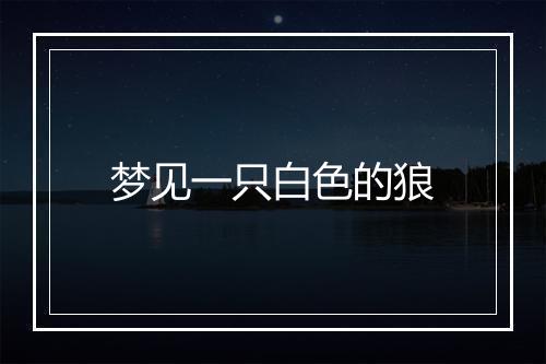 梦见一只白色的狼