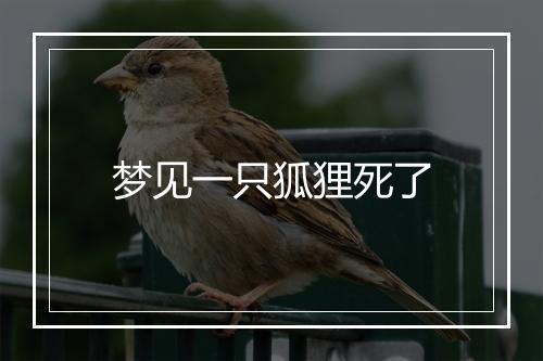 梦见一只狐狸死了