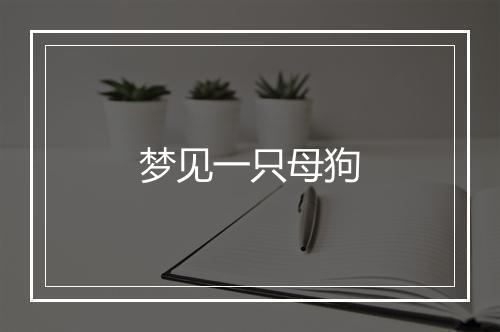 梦见一只母狗