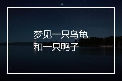 梦见一只乌龟和一只鸭子