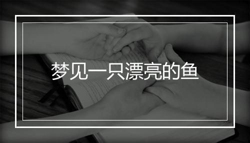 梦见一只漂亮的鱼