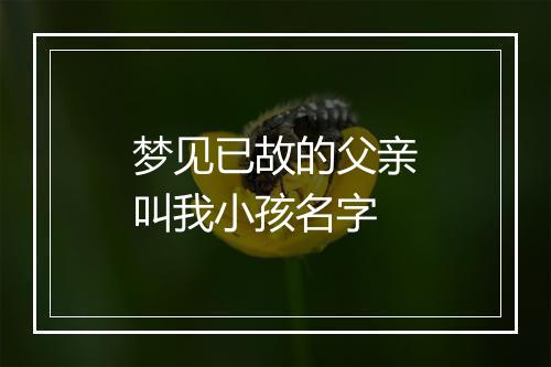 梦见已故的父亲叫我小孩名字