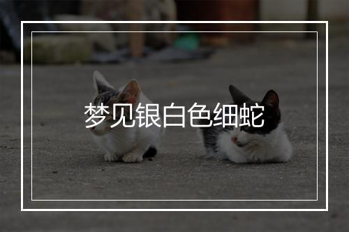 梦见银白色细蛇