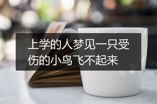 上学的人梦见一只受伤的小鸟飞不起来