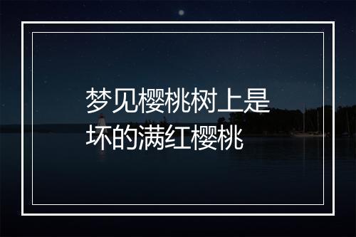 梦见樱桃树上是坏的满红樱桃