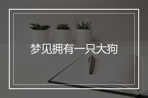 梦见拥有一只大狗