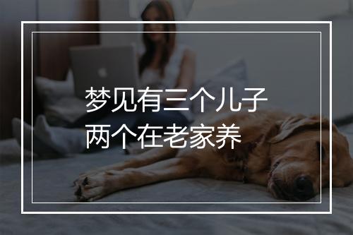 梦见有三个儿子两个在老家养