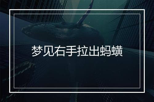 梦见右手拉出蚂蟥