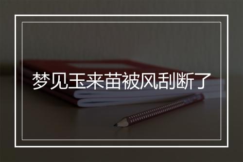 梦见玉来苗被风刮断了