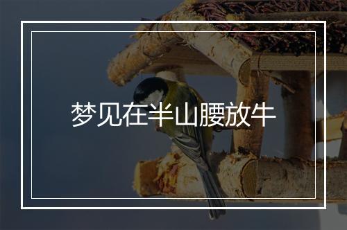 梦见在半山腰放牛