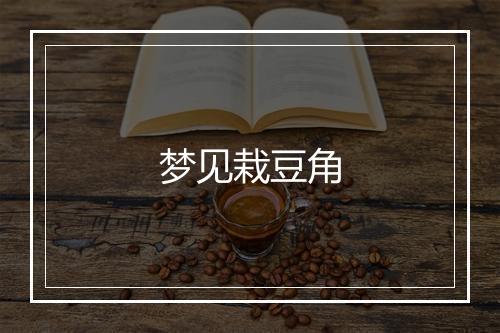 梦见栽豆角