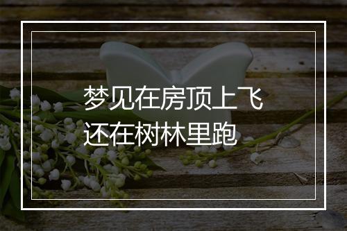 梦见在房顶上飞还在树林里跑