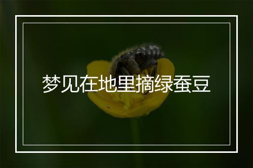 梦见在地里摘绿蚕豆