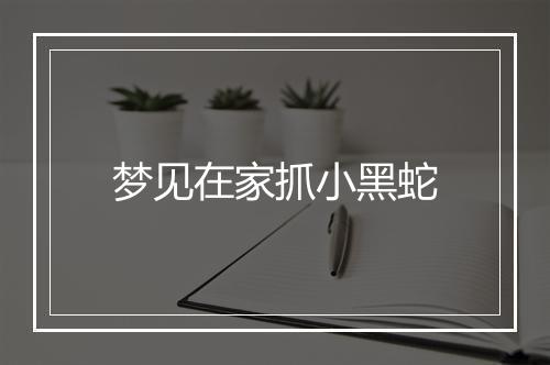 梦见在家抓小黑蛇