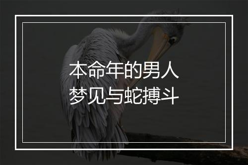 本命年的男人梦见与蛇搏斗