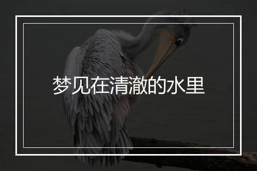 梦见在清澈的水里