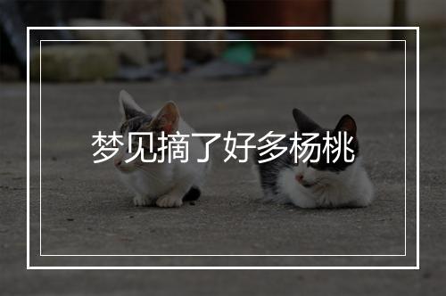 梦见摘了好多杨桃