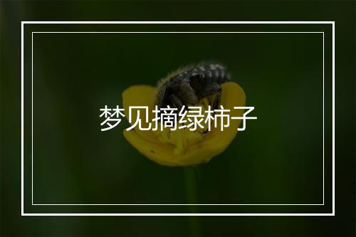 梦见摘绿柿子