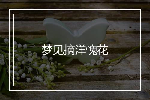 梦见摘洋愧花