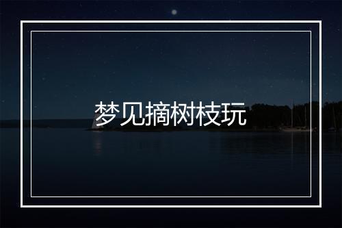 梦见摘树枝玩