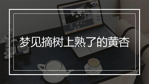 梦见摘树上熟了的黄杏