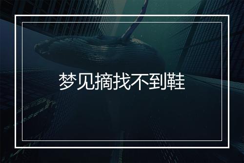 梦见摘找不到鞋