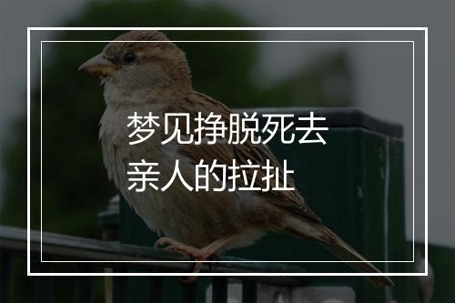 梦见挣脱死去亲人的拉扯