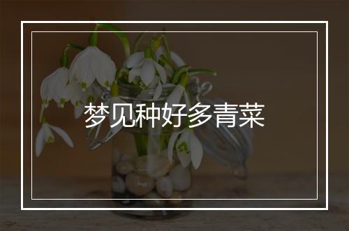 梦见种好多青菜